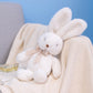 Cozy Bunny Plush Toy