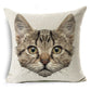 Cat Cushion Cover