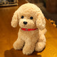 Curly Hair Dog Plush Toy